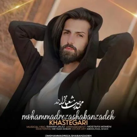 دانلود موزیک دیگه کار به کسی ندارم محمدرضا شعبان زاده