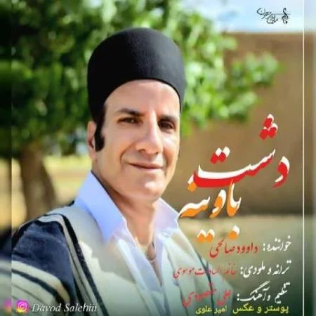 دانلود موزیک دشت باوینه داوود صالحی دانلود موزیک دشت باوینه داوود صالحی
