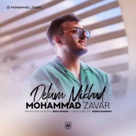 دانلود گلچین آهنگ های محمد زوار