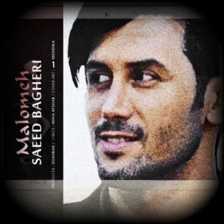 دانلود گلچین آهنگ های سعید باقری