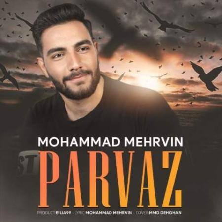 دانلود موزیک پرواز محمد مهروین
