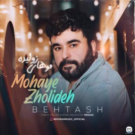 دانلود موزیک موهاى ژولیده بهتاش