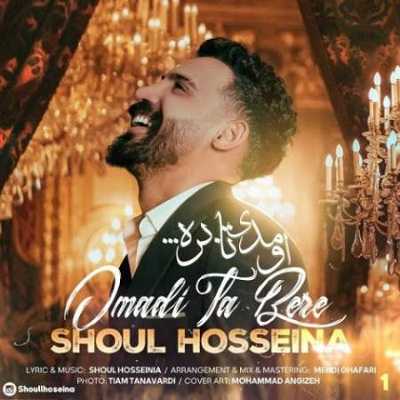 دانلود گلچین آهنگ های شول حسینا