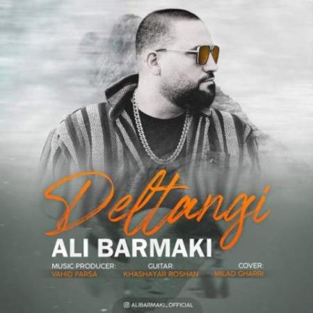 دانلود موزیک دلتنگی علی برمکی