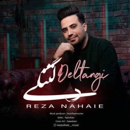 دانلود موزیک دلتنگی رضا نهایی