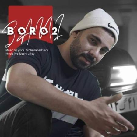 دانلود موزیک برو تو سانی