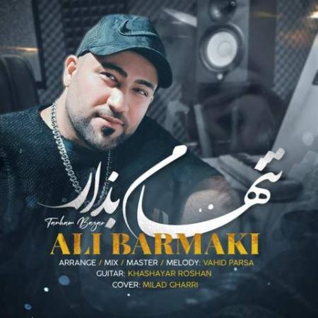 آهنگ تنهام بزار علی برمکی