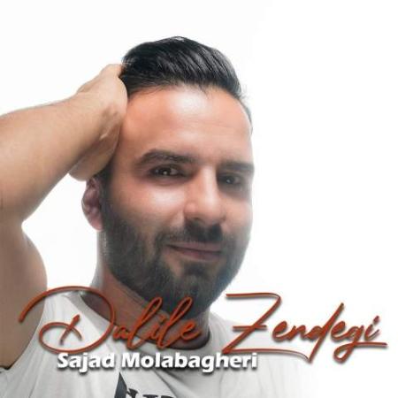 دانلود موزیک دلیل زندگی سجاد ملاباقری