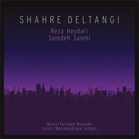 دانلود موزیک شهر دلتنگی رضا حیدری
