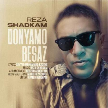 دانلود موزیک دنیامو بساز رضا شادکام