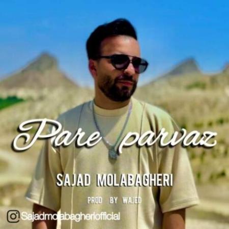 دانلود موزیک پر پرواز سجاد ملاباقری