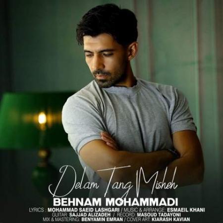 دانلود موزیک دلم تنگ میشه بهنام محمدی