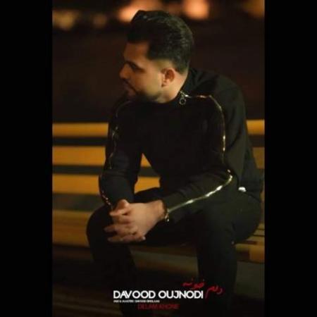 دانلود موزیک دلم خونه داوود اجنوردی