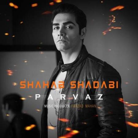 دانلود گلچین آهنگ های شهاب شادابی