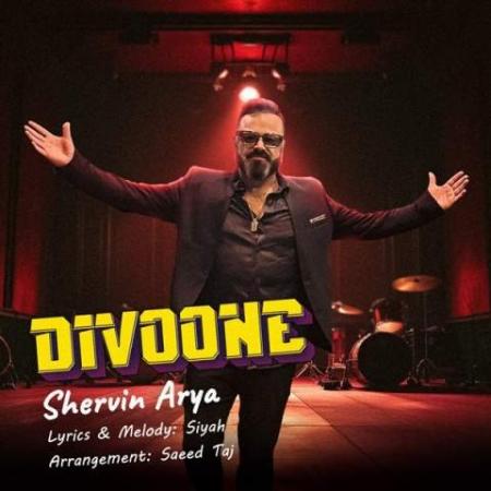 دانلود موزیک دیوونه شروین آریا