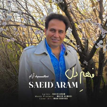دانلود موزیک فهم دل سعید آرام