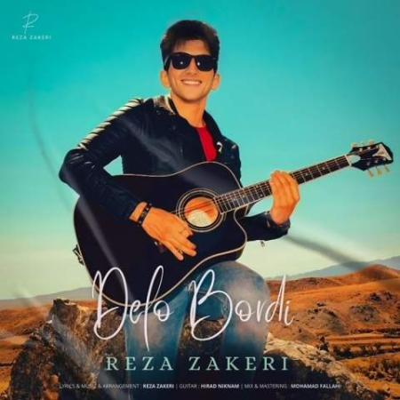 دانلود موزیک دلو بردی رضا ذاکری