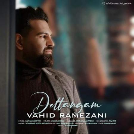 دانلود موزیک دلتنگم وحید رمضانی