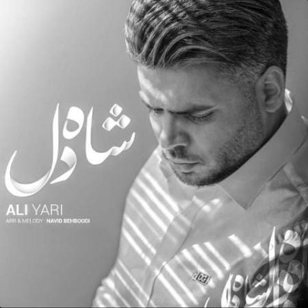 دانلود موزیک شاه دل علی یاری
