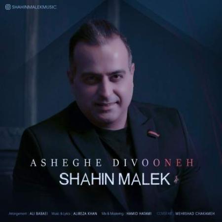 دانلود موزیک عاشق دیوونه شاهین ملک