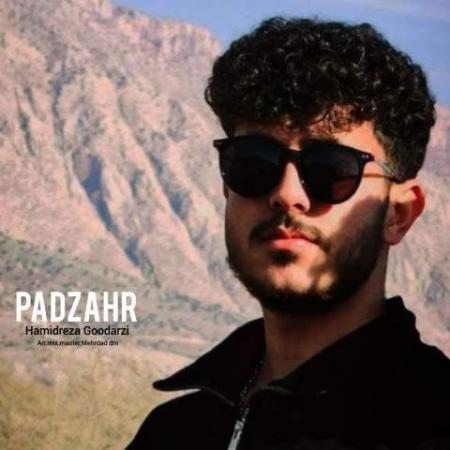 دانلود موزیک پاد زهر حمیدرضا گودرزی