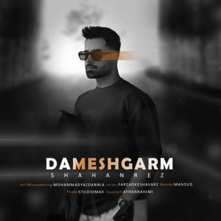 دانلود موزیک دمش گرم شاهان رض
