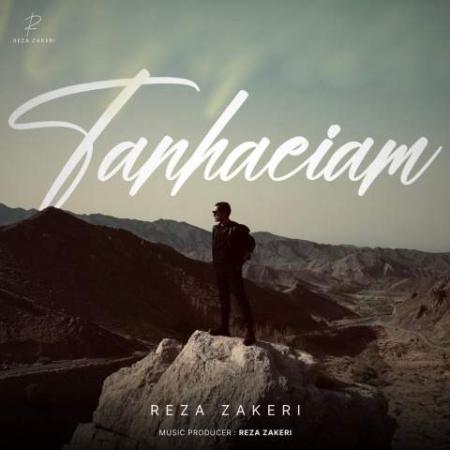 دانلود موزیک تنهاییام رضا ذاکری